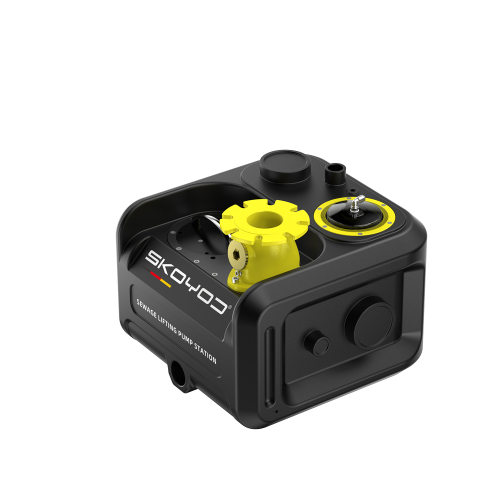 Dennis-B60L Permanent Magnet Frequency Conversion Single-stage Sewage Lifting Pump Station